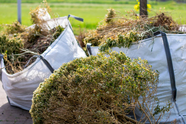 Best Trash Removal Near Me  in South Fulton, TN